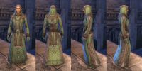 ON-item-armor-Homespun-Robe-Ancient Elf-Male.jpg