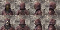ON-item-armor-The Recollection Light Beast Races.jpg