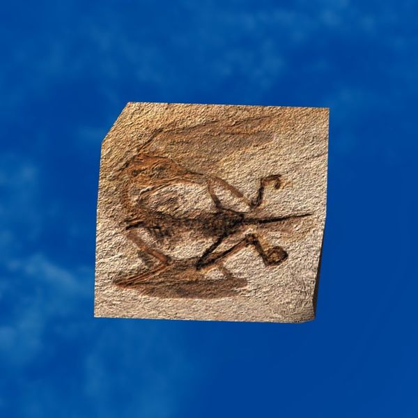 File:SRMOD-LOTD-fossil-t3-climbing reptile fossil.jpg