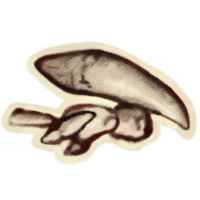 OBR-icon-ingredient-Ogre's Teeth.png