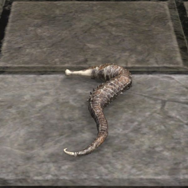 File:ON-furnishing-Seahorse, Display.jpg
