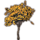 ON-icon-furnishing-Sapling, Autumn Oak.png