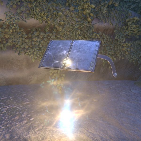 File:ON-item-Coral Aerie Temporal Tome.jpg