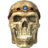 SR-icon-misc-Potema'sSkull.png