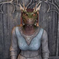 OBR-npc-Sheer Meedish 02.jpg