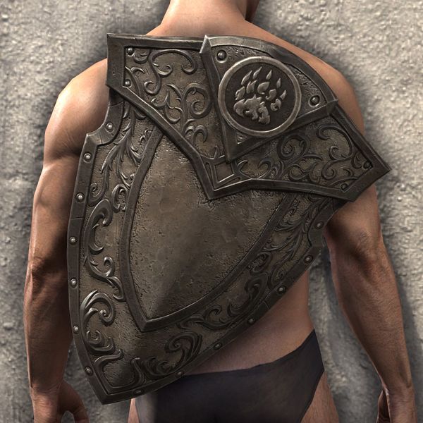 File:ON-item-armor-Gardener of Seasons Shield.jpg