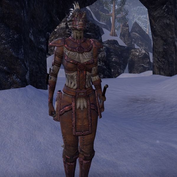 File:ON-npc-Soldier (Eastmarch Argonian).jpg
