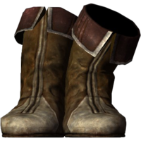 SR-icon-clothing-PsiijicBoots.png