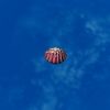 SRMOD-LOTD-tide-scallop shell-purple and white.jpg