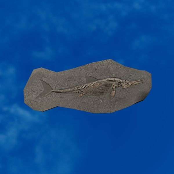 File:SRMOD-LOTD-fossil-t4-ancient spearmouth female.jpg
