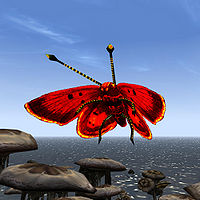 TR3-creature-Butterfly (red).jpg