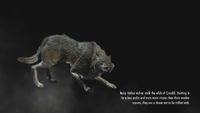 BS5C-load-Many timber wolves stalk the wilds of Cyrodiil.jpg