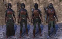 ON-item-armor-Kindred's Concord (female).jpg