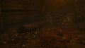 Thumbnail for version as of 11:55, 4 June 2025