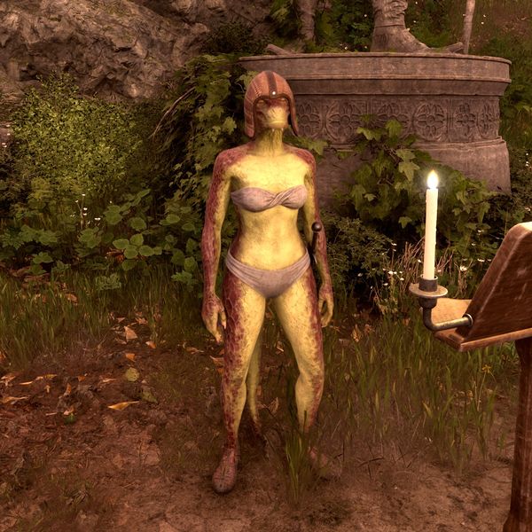File:OBR-npc-Beewos.jpg