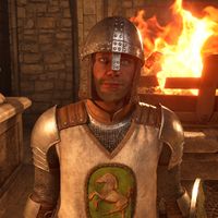 OBR-npc-Leyawiin Bodyguard Count 02.jpg