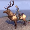 ON-mount-Spiritwalker Pillion Elk.jpg