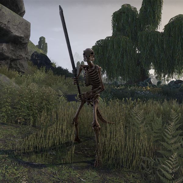 File:ON-npc-Skeleton Marsh Warrior.jpg