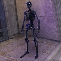 ON-polymorph-Boneman (Khajiit).jpg