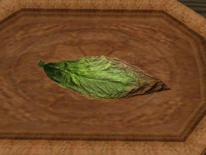 File:TD3-ing-Siyat Leaf.jpg