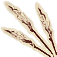 OBR-icon-ingredient-Rice.png