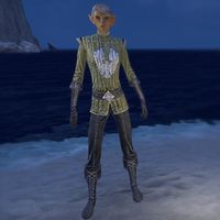 ON-costume-Alliance Rider Outfit (Dominion female).jpg