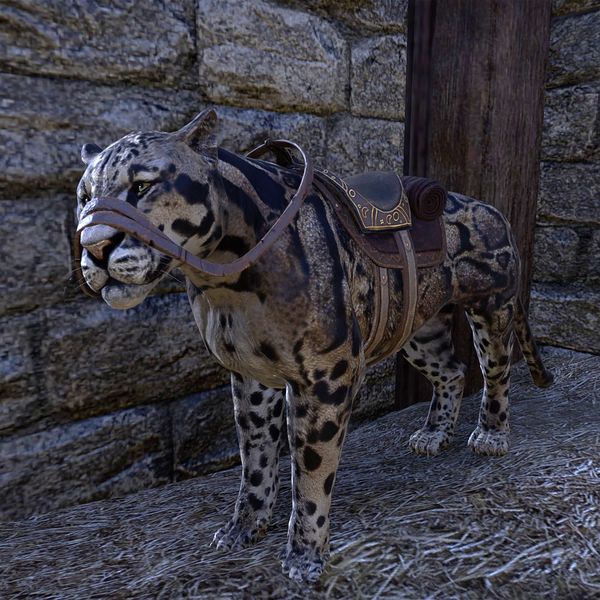 File:ON-creature-Butterpaws.jpg