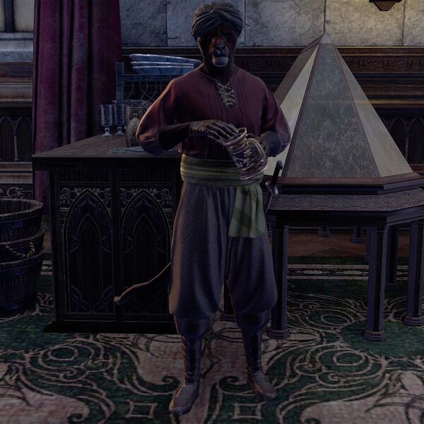 File:ON-npc-Tamzjo.jpg