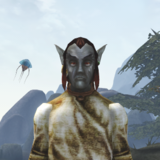 Yani.png