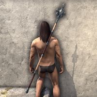 ON-item-weapon-Imperial Staff 4.jpg