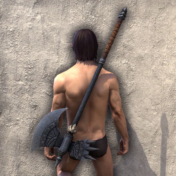 File:ON-item-weapon-Skinchanger Battle Axe.jpg