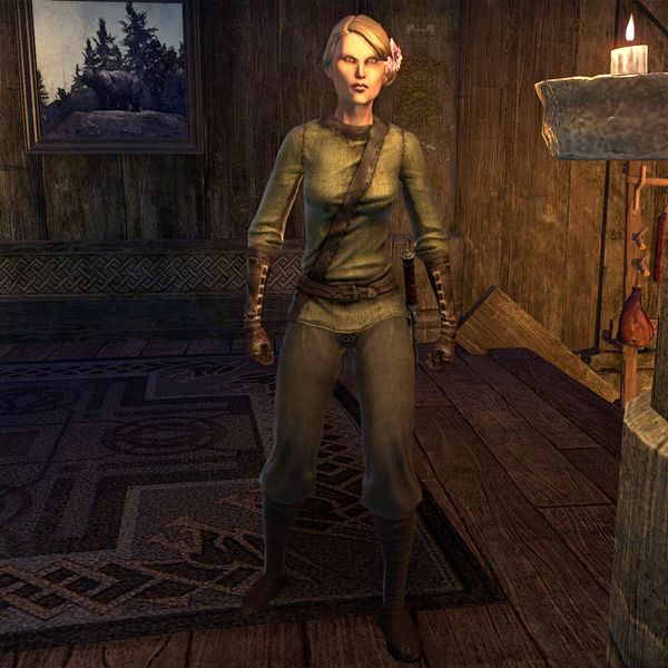 File:ON-npc-Farsin.jpg