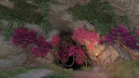 ON-place-Deetra Grotto.jpg