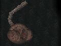 Thumbnail for version as of 21:32, 1 June 2025