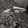 A Slaughterfish in Morrowind