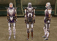 MW-item-Duke's Guard Silver Armor Female.jpg