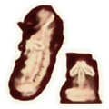 Thumbnail for version as of 07:03, 31 May 2025