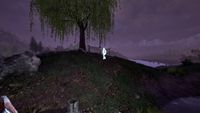 OBR-place-Bawnwatch Camp 02.jpg