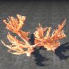ON-furnishing-Spiral Skein Coral, Elkhorn.jpg