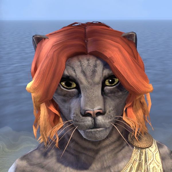 File:ON-hairstyle-Dragonfire Tresses (Khajiit).jpg