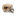 ON-icon-style material-Hawk Skull.png