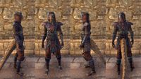 ON-item-armor-Cotton-Jerkin-Argonian-Male.jpg