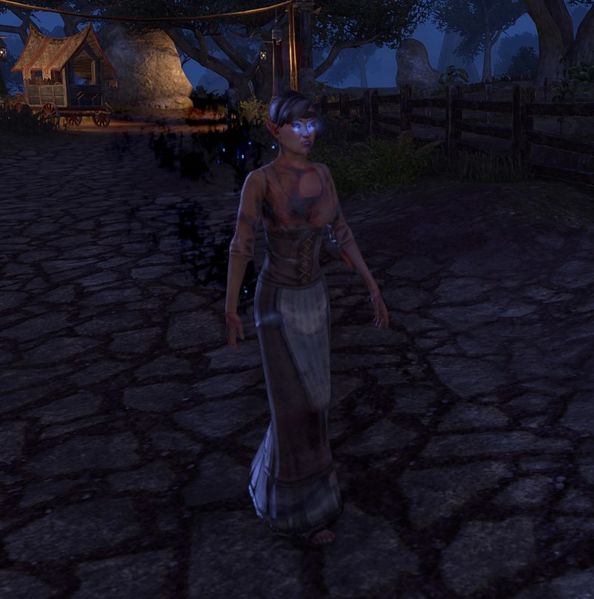 File:ON-npc-Meldaril(possessed).jpg