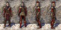 ON-item-armor-Dragonguard Medium Female.jpg