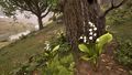 Thumbnail for version as of 23:10, 11 June 2025