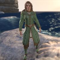 Kinlord's Alinor Attire (female)