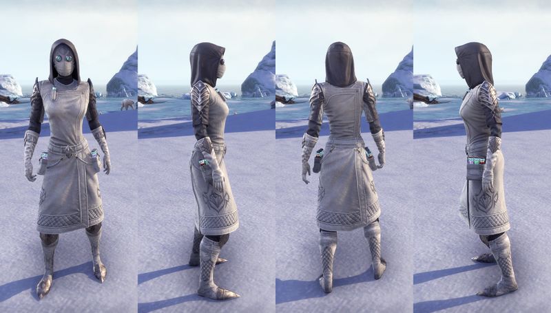 File:ON-item-armor-Eccentric Experimenter Female.jpg