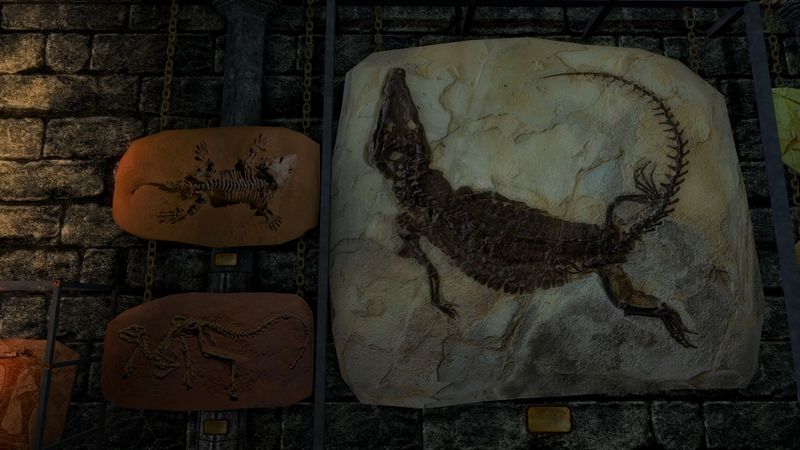 File:SRMOD-LOTD-displays-Fossil-Large 02.jpg