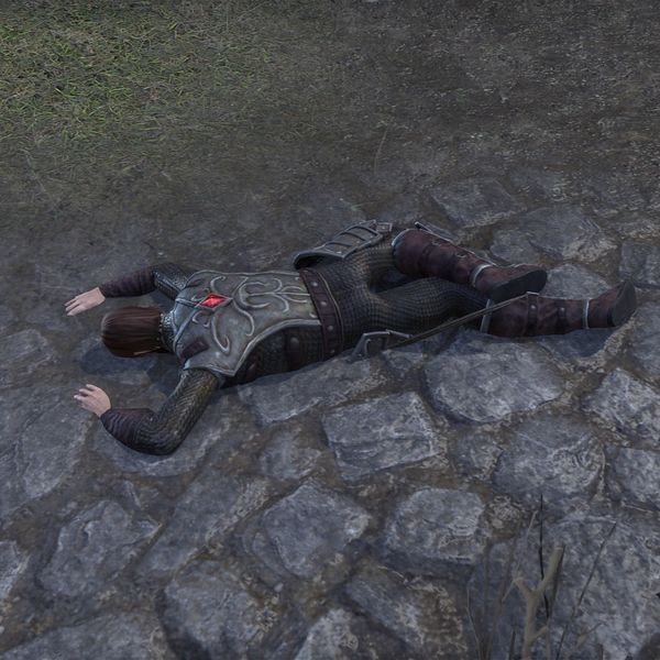 File:ON-npc-Legionary Defender (dead).jpg