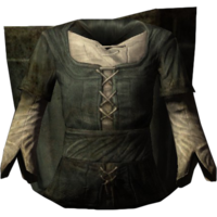 SR-icon-clothing-Clothes1(f).png